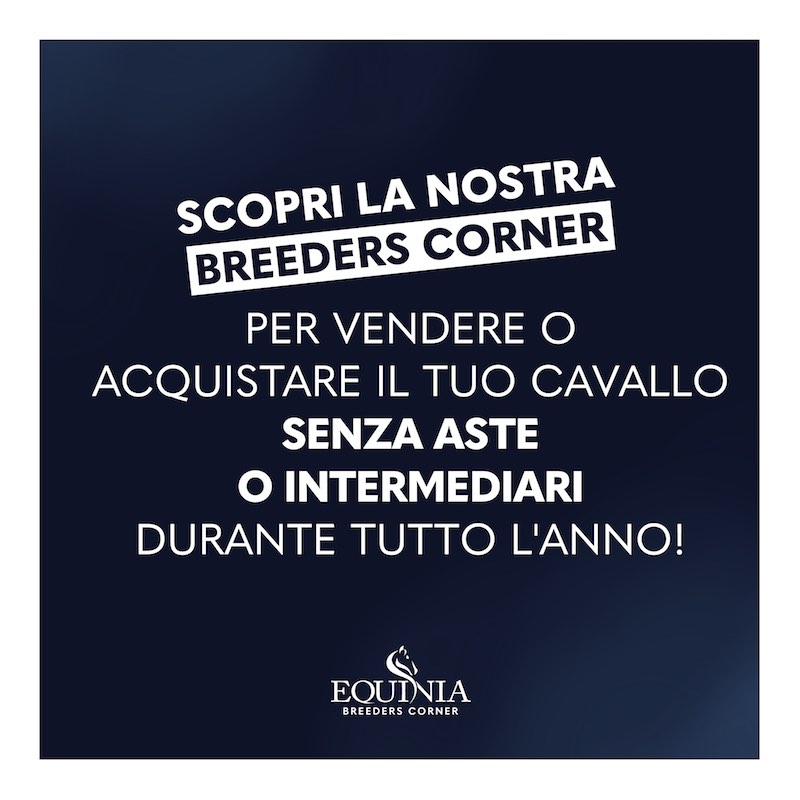 Equinia Breeders Corner